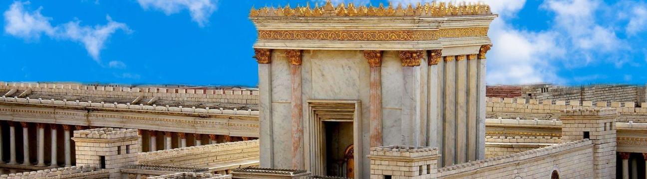 👰 נשים - לוח כרטיסי שידוכים של רפאל השדכן 🥂