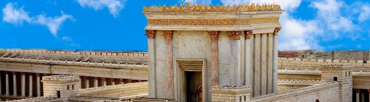 👰 נשים גילאי 40-49 - לוח כרטיסי שידוכים 🥂