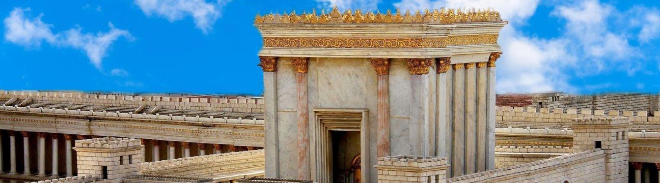 👰 נשים גילאי 50-59 - לוח כרטיסי שידוכים 🥂