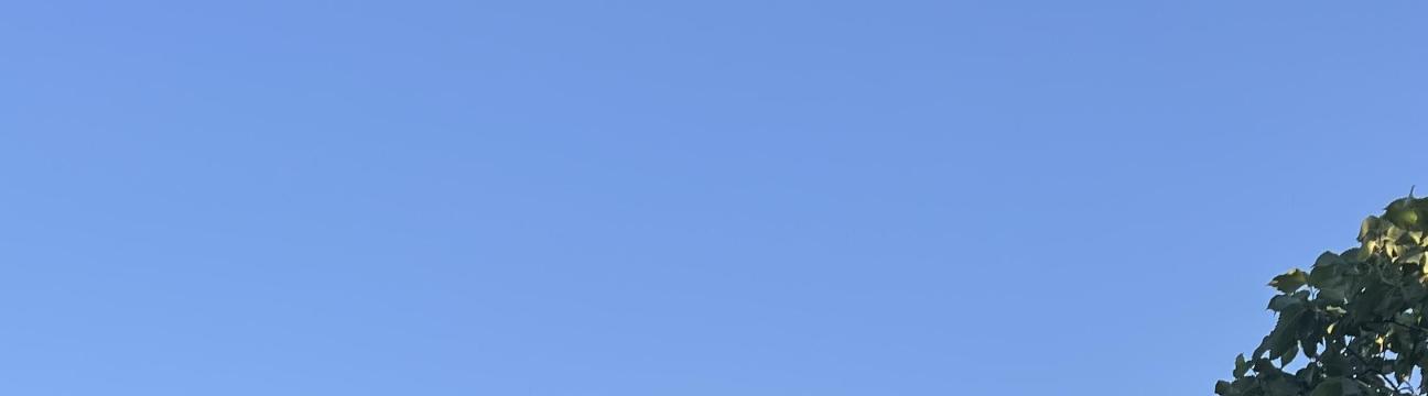 הודיה יחינה