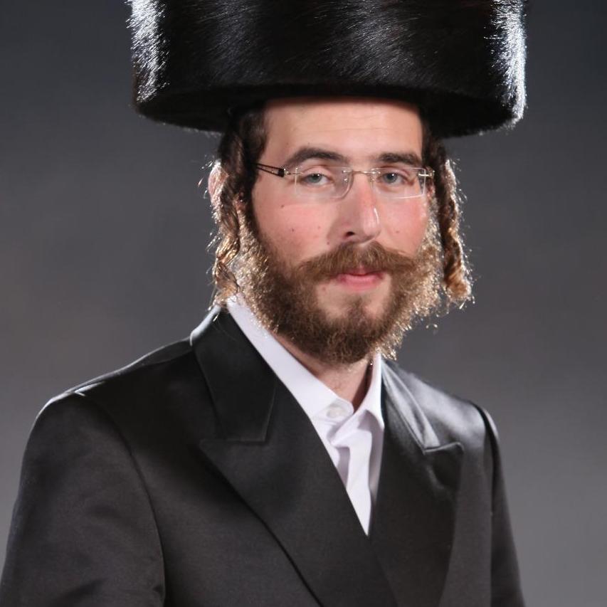 מיכאל דוב  גליק